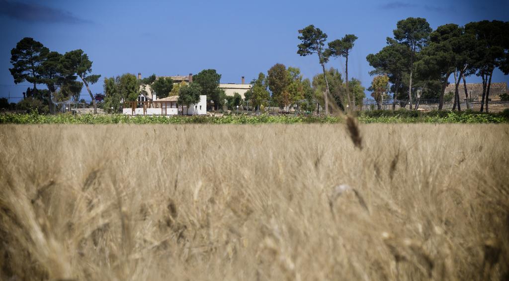 Residence Casale Verderame Trapani Dış mekan fotoğraf